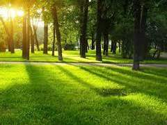 [드로저]Drama in May