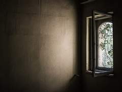 아실리 O. 체이스