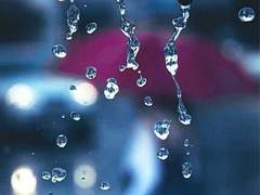 한 여름 소나기 pt.5