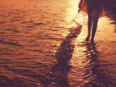 지나간 시간을 밟아가며