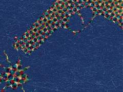 [LB:MR] L의 초상 - 1화