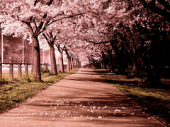 잊지 못할 온기