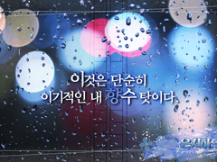 레인페스 개인 참가_은시하