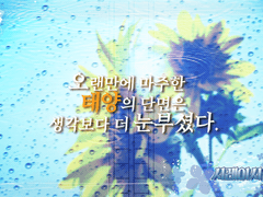 레인페스 팀 참가 뮤즈웰_시레이시