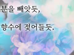 [마유륜] 태양이 수분을 빼앗듯, 천 자락이 향수에 젖어 들듯.