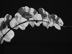 윤 해승_ 비공개