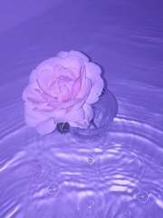 우리의 거리가 가까울 순 없나요