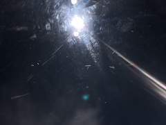 태풍이 나를 쓸고 간다면 나는 날개를 단 것 처럼