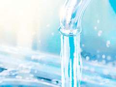 찬란한 햇님의 미소