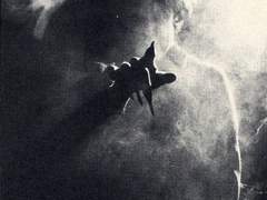 [알슼조엘] MORPH 1.