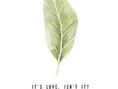 IT'S LOVE. ISN'T IT?