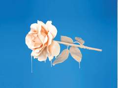 형님과 아웅 上