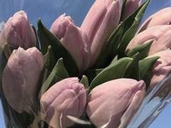 [후쿠다자] 저온화상1