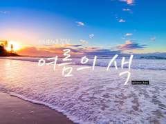 [위티로잘] 여름의 색