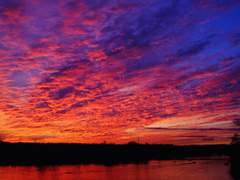 [레뷰스타] 첫 발디딤