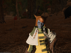 Lv 61. [기억상실에 걸린 남자] {이어지는 퀘스트}