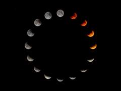 [루시산] 천사기담 3