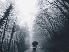 [kp][에드블린] 수몰열차(2)