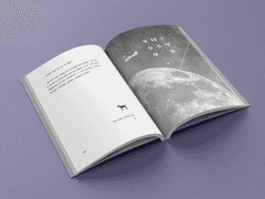 펫을 달래는 완벽한 방법 - 번외