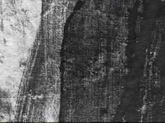 꽃말의 보송한 날개에도