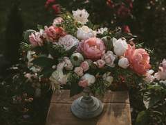 [루시산] 참새 시집가는 날