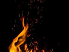 죽는다는 건 다 잊는다는 것과 같다.