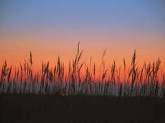 노을지는 집에서 그대와