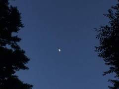 한 여름 소나기 pt.6