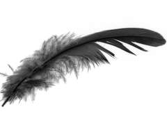 너로부터 벗어나는 길.