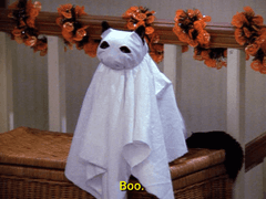 오직 나만을 위해