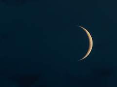 [형석해일] 달사냥 - 05.