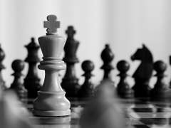 성배재강/ 사육제의 밤 4