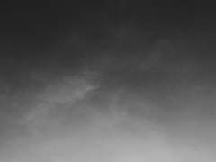 #붉은 피 웅덩이