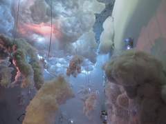 필독 : 공지사항