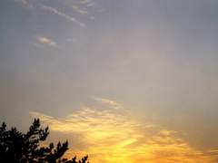 [Special boys] epilogue