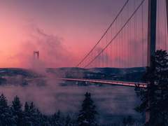 [토도바쿠] Blue Valentine