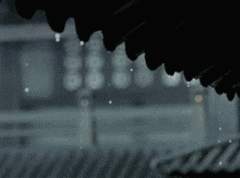 절망속 사랑은 사람을 죽이기 쉽다