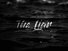 The Liar