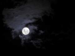 [알파윌 R-15] the day after.6 (完)