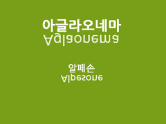 [BL] 아글라오네마 (Aglaonema)