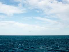 스팁버키 신간,구간,돌발본 통판 안내