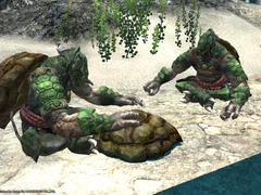 Lv 62. [혼은 등딱지에 깃든다]