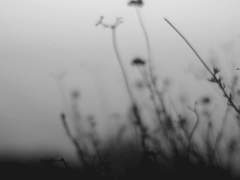 [보쿠아카] 네게 어울리는군.