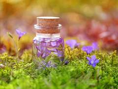 [샤를혜진] 연구의 끝