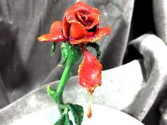 미녀와 야수_1991