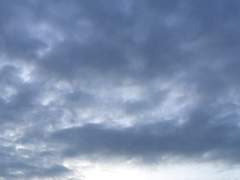 나는 너를 소중히 여긴단다