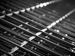 [디오죠나] 타란텔라