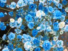 [TRPG로그] 팬텀 블루 미스트! ~저주 받은 보석~