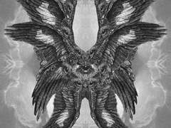 나를 사랑하세요?