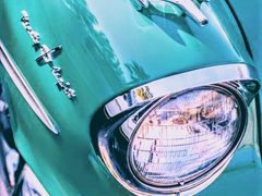 그러니까, 면허 위조 한 적 없데도